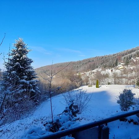 Apartament Schwarzwald Pur Sasbachwalden Zewnętrze zdjęcie