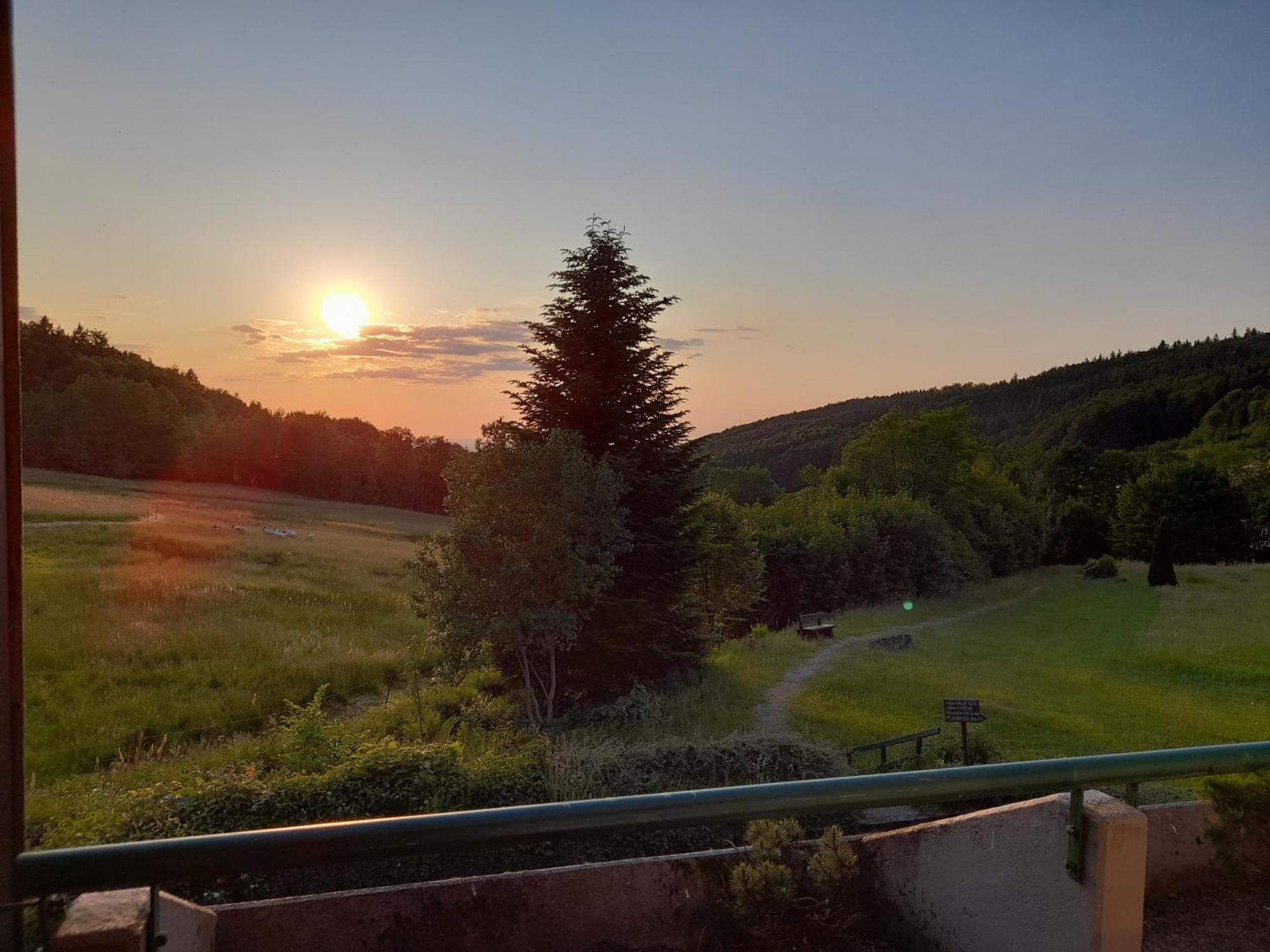 Apartament Schwarzwald Pur Sasbachwalden Zewnętrze zdjęcie