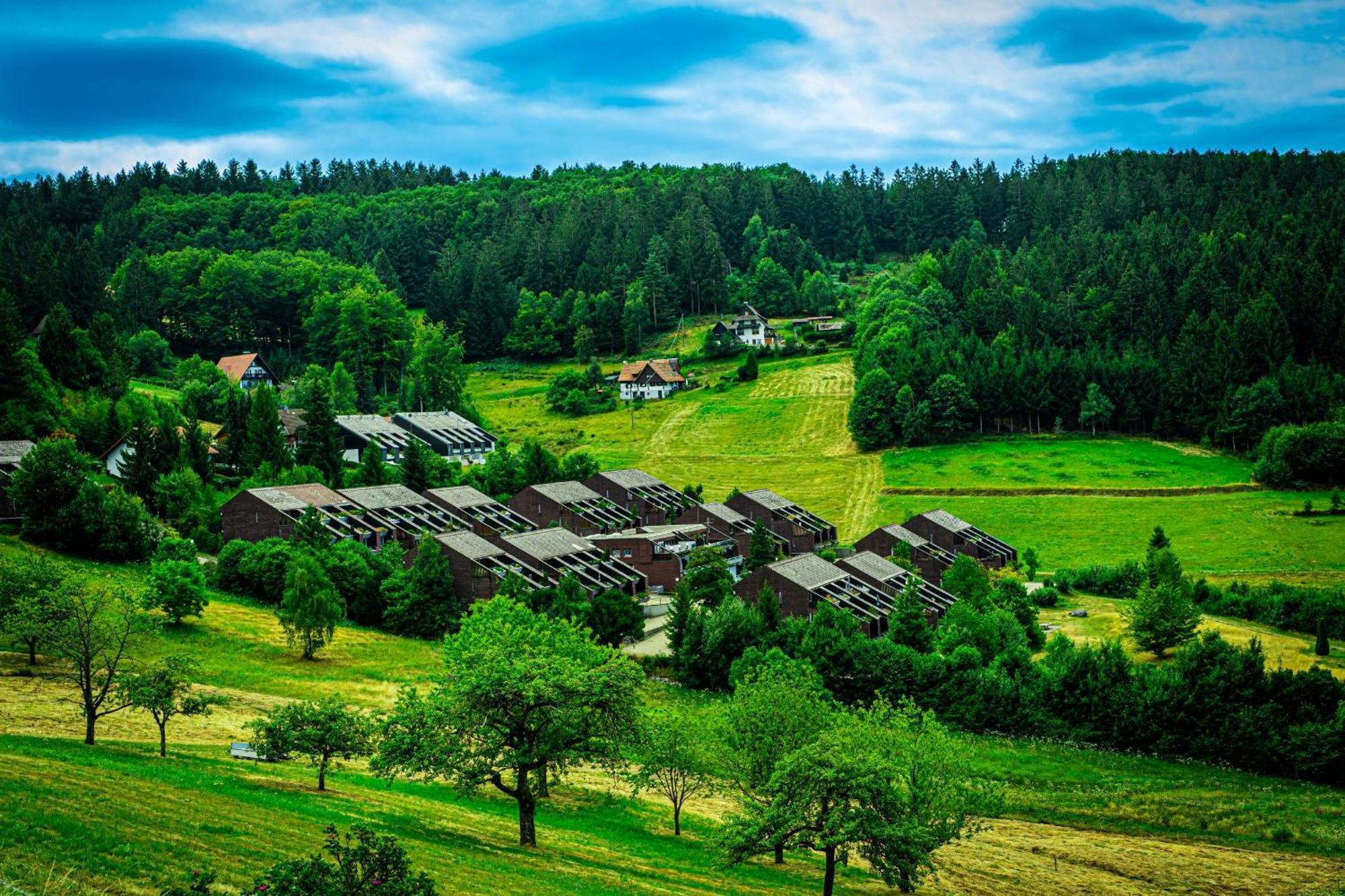 Apartament Schwarzwald Pur Sasbachwalden Zewnętrze zdjęcie